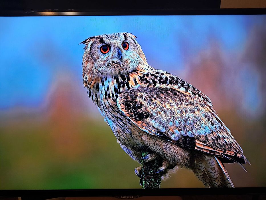 Телевизор  32 lg 82см  диагональ смарт .гарантия .