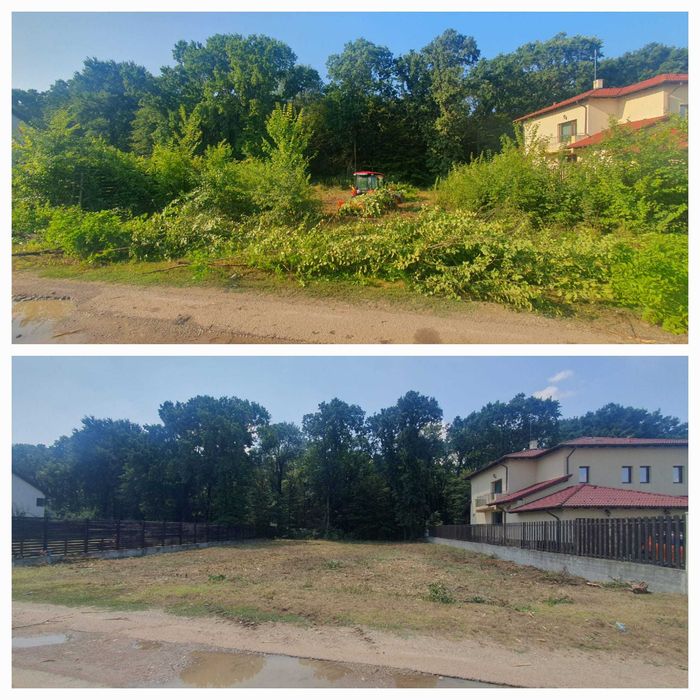 Defrisare Curatare teren Vegetatie Arbusti Ambrozie, Tocare crengi