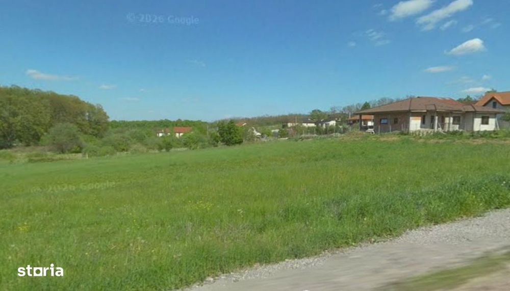 Vand teren intravilan 11,55 Ari in Viile Satu Mare