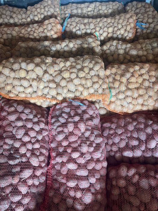 Vând cartofi de sămânță și de consum!