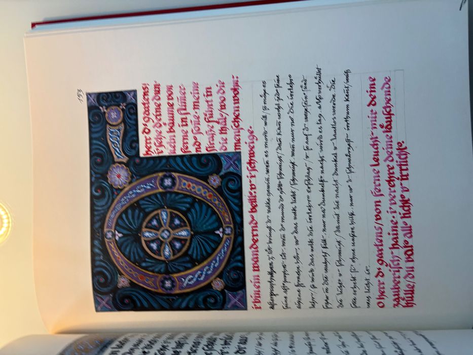 The Red Book Liber Novus Jung ediția I engleză rară facsimil rara