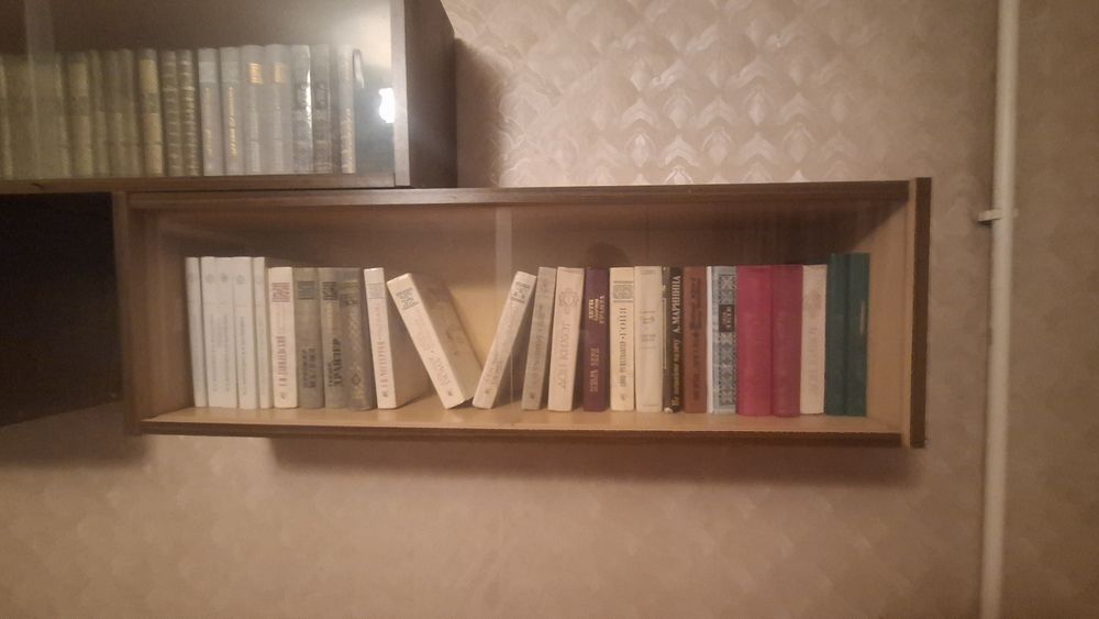 Книжные полки. Вместе с книгами