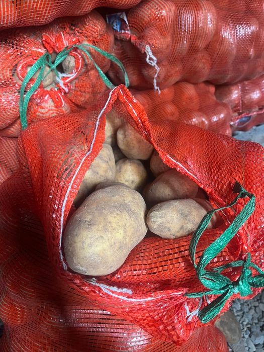 Картошка с Павлодара