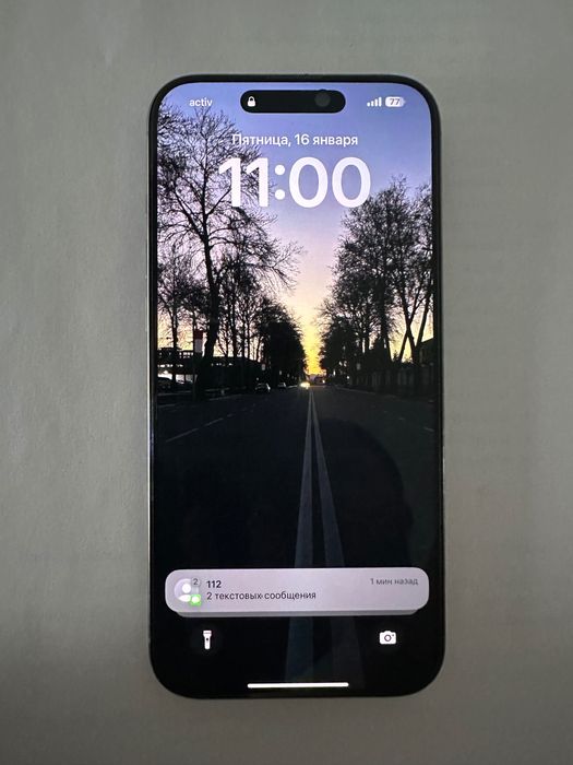 iPhone 16 Pro Max 256GB (серый)
