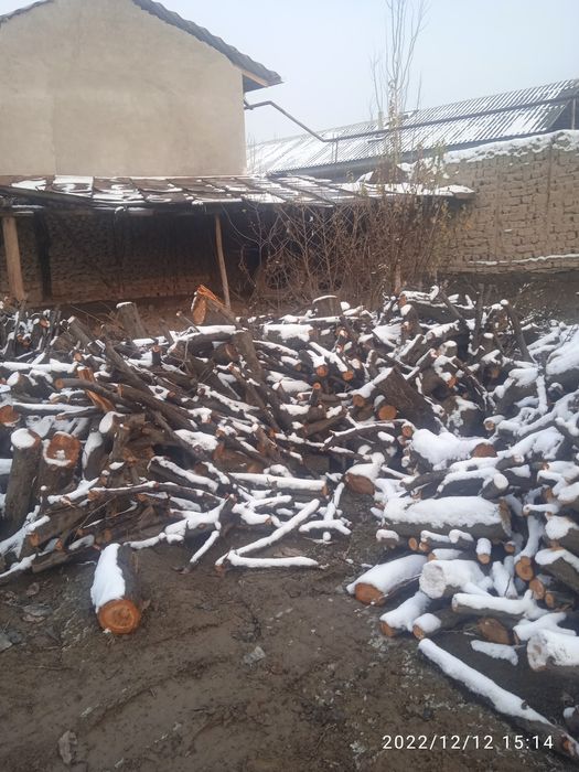 Oʻrik oʻtin sotiladi kelishilgan holda