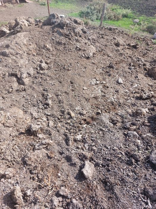 Mranita,pamint vegetal,negru și pamint nisipos