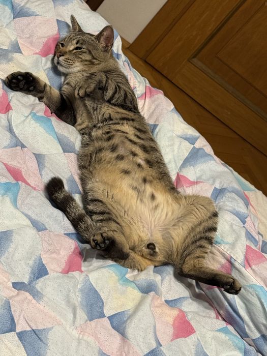 Edgar își caută o familie iubitoare