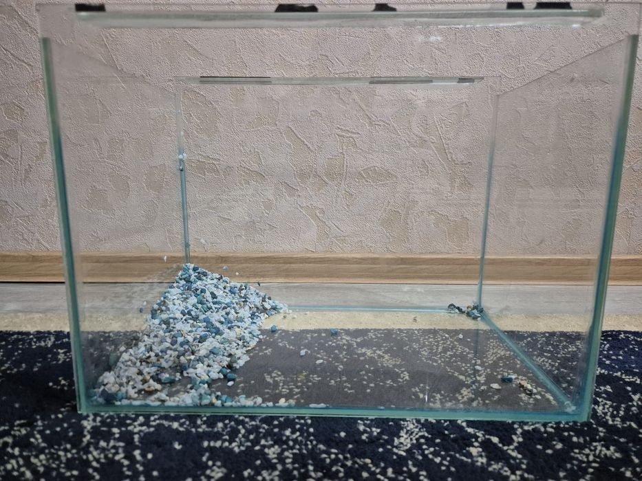 Аквариум для рыб.