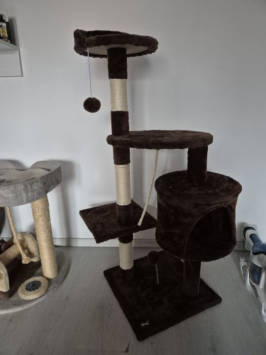 Ansamblu pentru pisici