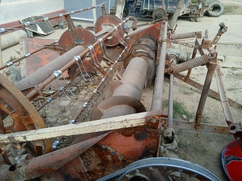 Beda oʻruvchi jatka sotiladi