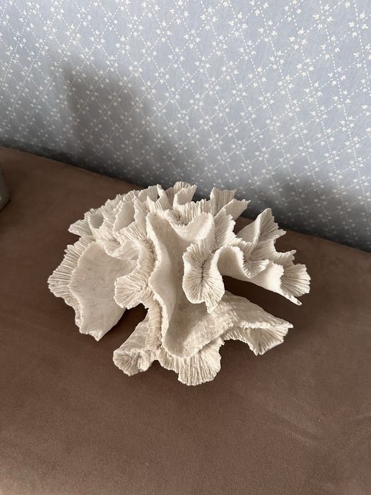 Декоративные кораллы Zara Home