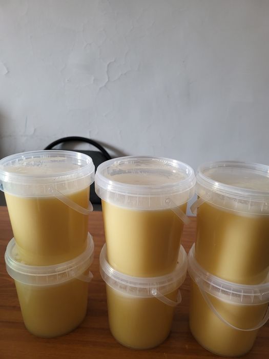 Мед Жантак верблюжья колючка