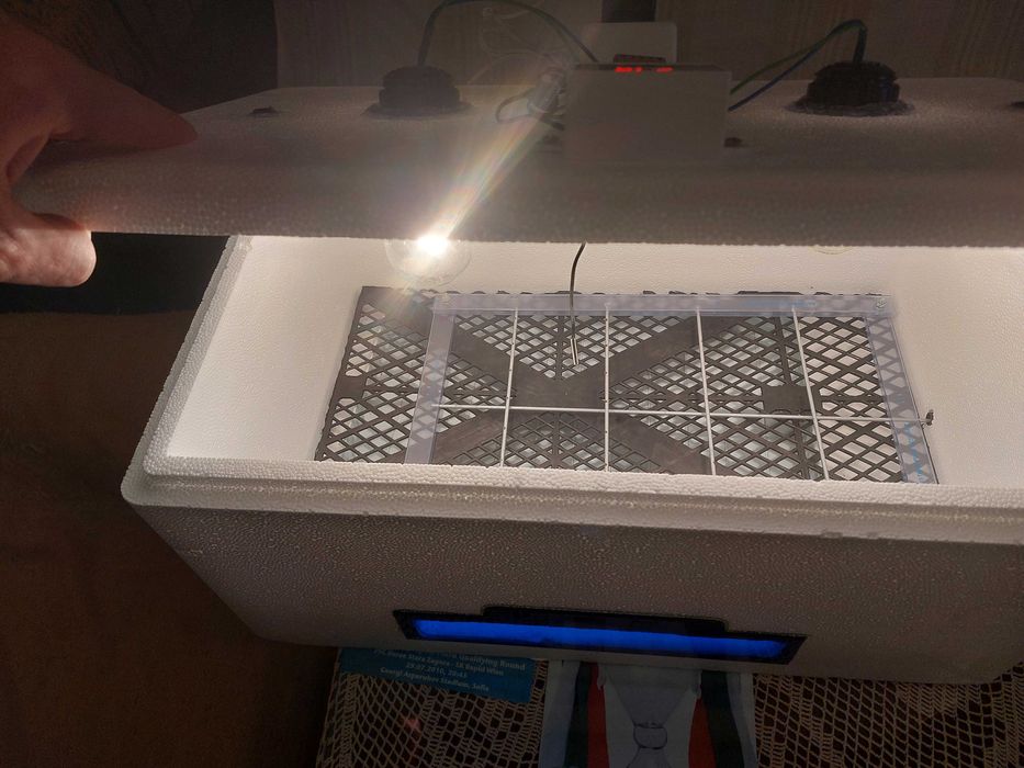 Инкубатор за люпене на яйца!