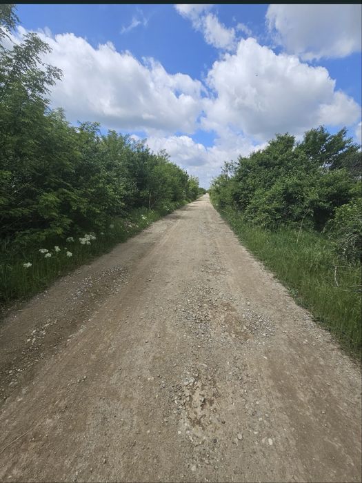 Teren intravilan Periș ilfov 5000mp2