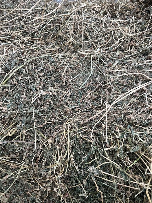 Baloti lucerna coasa 3-4