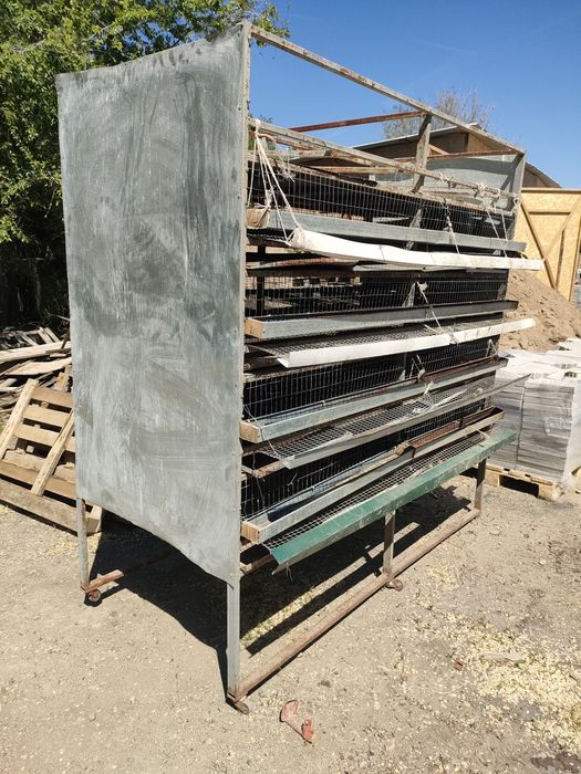 Клетка для кур или перепелок