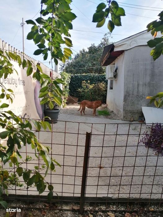 Casă De Vânzare LACUL TEI