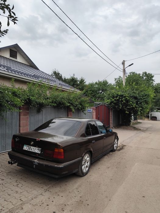 BMW e 34. Объем 2,5