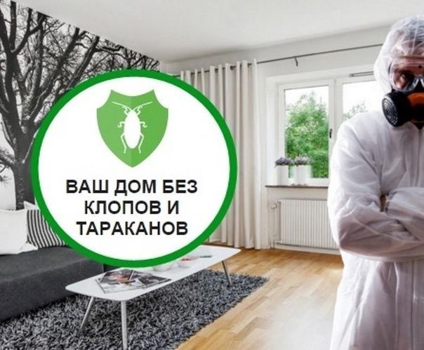 Клоп-стоп 100% гарантия дезинфекция дизинфекция dezinfeksiya dezinseks