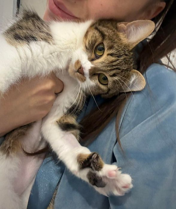 Кротката Рая на 9 м търси дом