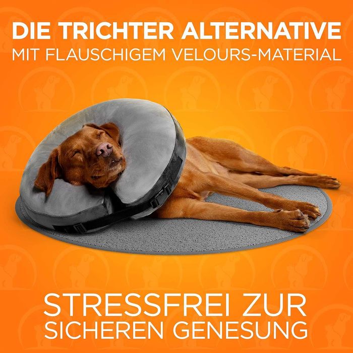 Guler protectie pentru reabilitare operatie caini. Diverse marimi