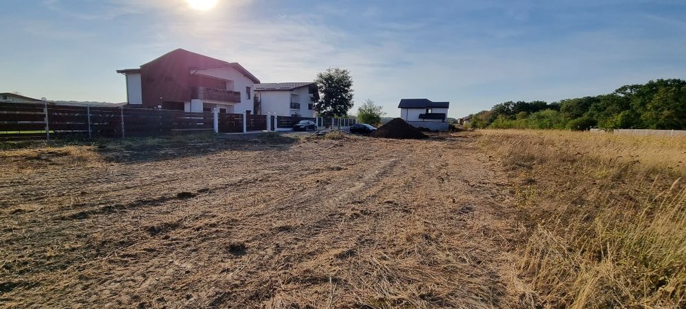 Teren padure Snagov Ciofliceni