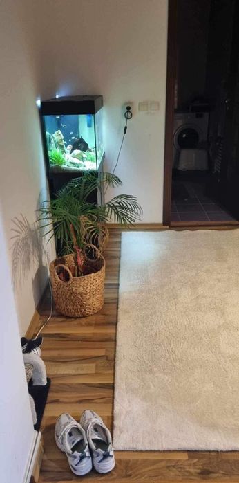 Inchiriez apartament 2 camere