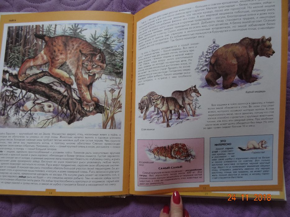 Атлас животных, Эксмо