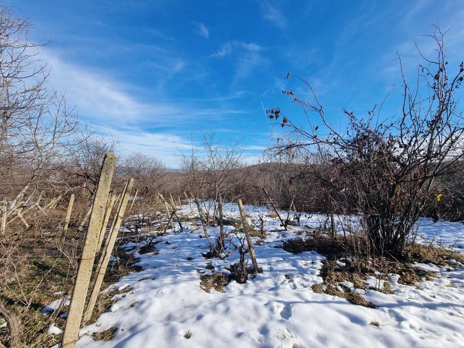 Продава се Парцел в с. Шереметя, Област Велико Търново - 600 кв.м за 34 €/кв.м - Снимка #2