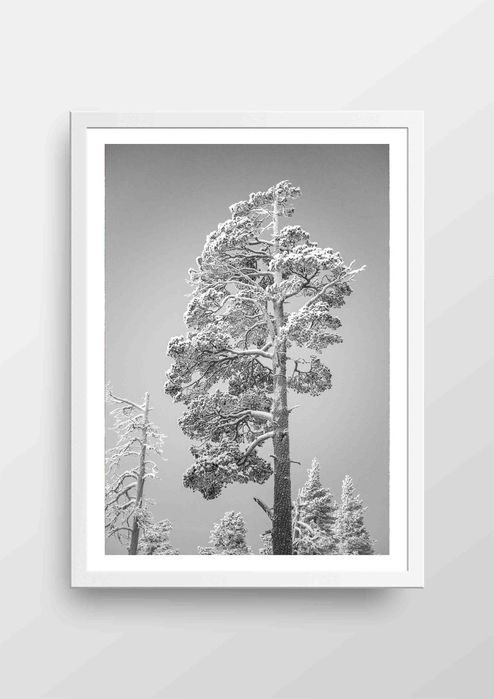 А5/А4/А3 Професионални фотографски принтове на България и света