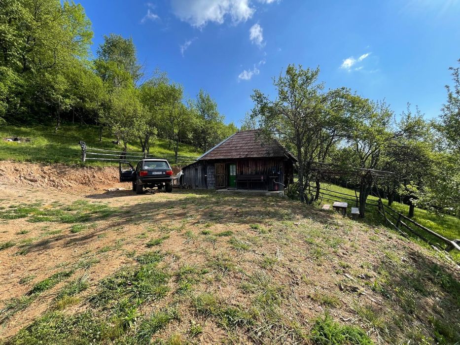 Casă, livada și pădure în com Bătrâna judetul Hunedoara ținutul pădurenilor.