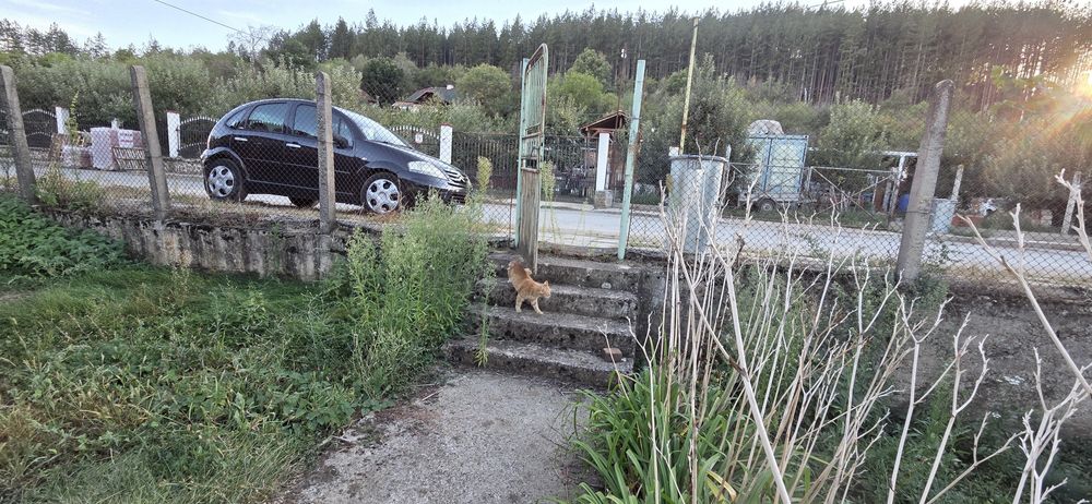 Продава се Къща в с. Невестино, Област Кюстендил - 52 кв.м за 540 €/кв.м - Снимка #10