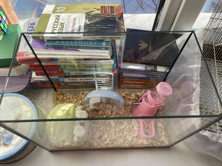 Аквариум продам