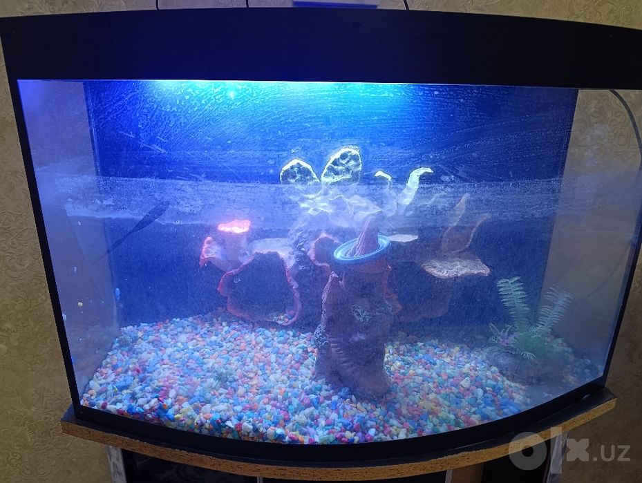 Akvarium sotiladi
