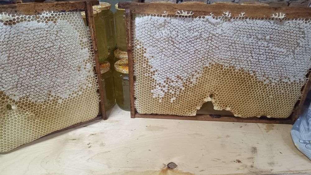 Vând faguri naturali cu miere de salcâm, miere salcam , tei, rapiță!