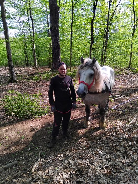 VAND URGENT  harmasari foarte cuminți