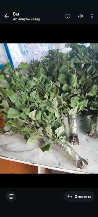 Продам веники берёзовые