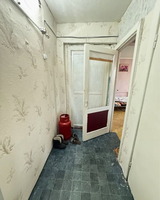 Зеленый бор. Сарыарка 10