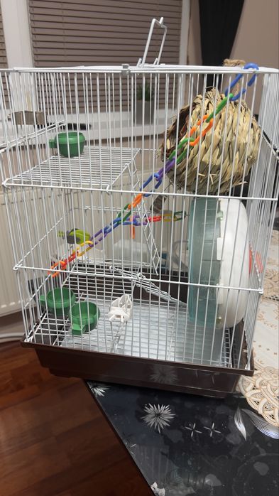 клетка за домашен любимец