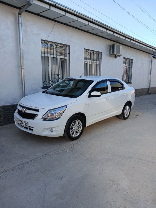 Cobalt 2024 tozza