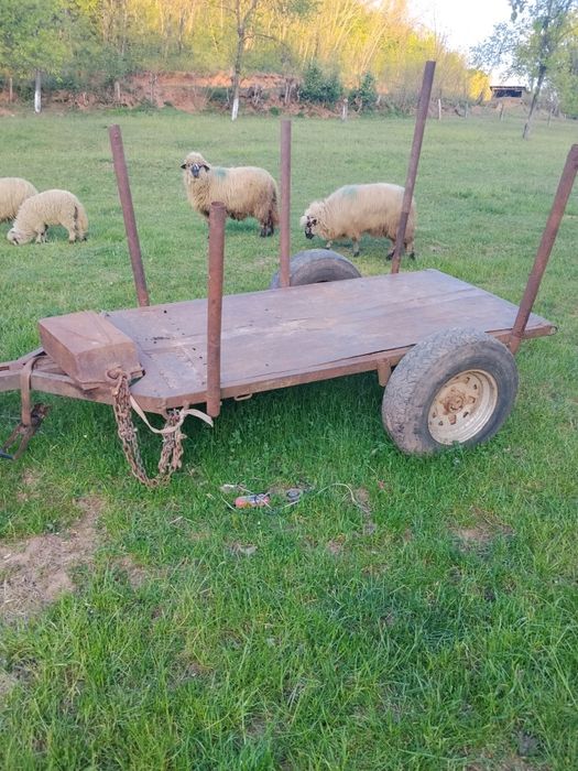 Vând tractor Massey Ferguson 135
