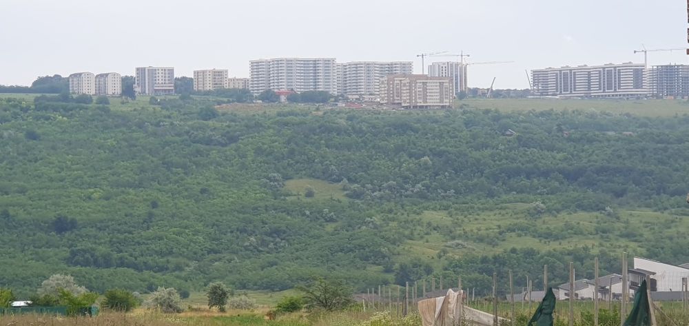 Teren intravilan Rediu