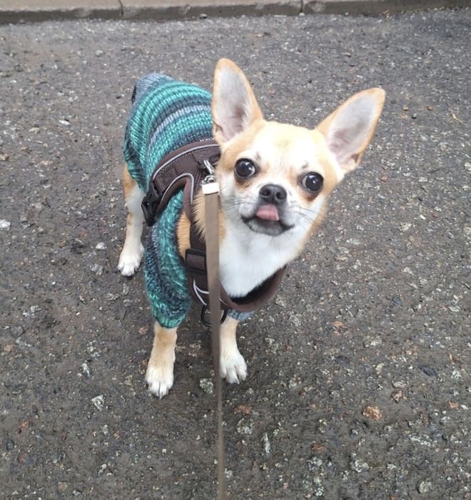 Ищем невесту для Арчи