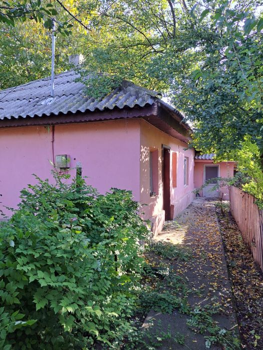 Teren Paltinisu ialomita