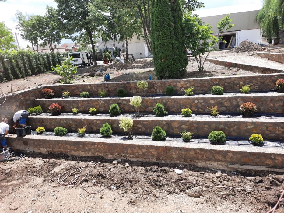 Amenajare gradina spatii verzi