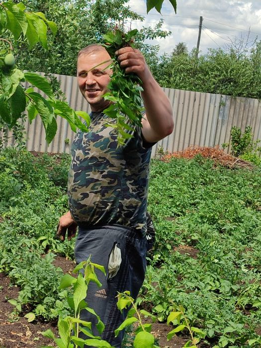 Продам дачу, без долгов