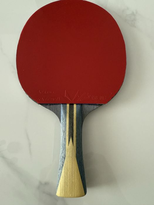 Paleta tenis de masa Dhs 301T