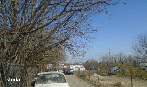 Teren intravilan Buzau, ID: R3089180