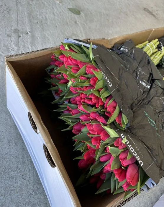 •Тюльпаны •Цветы бесплатная ДОСТАВКА