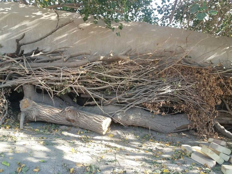 O'tin sotiladi Bir moshinadan ko'proq